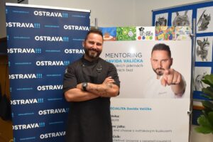 Mentoring Davida Valíčka na Základní škole Ostrava-Slezská Ostrava, Chrustova 24, příspěvková organizace