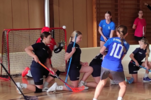 Ostravské sportovní hry – Říjen patřil florbalu